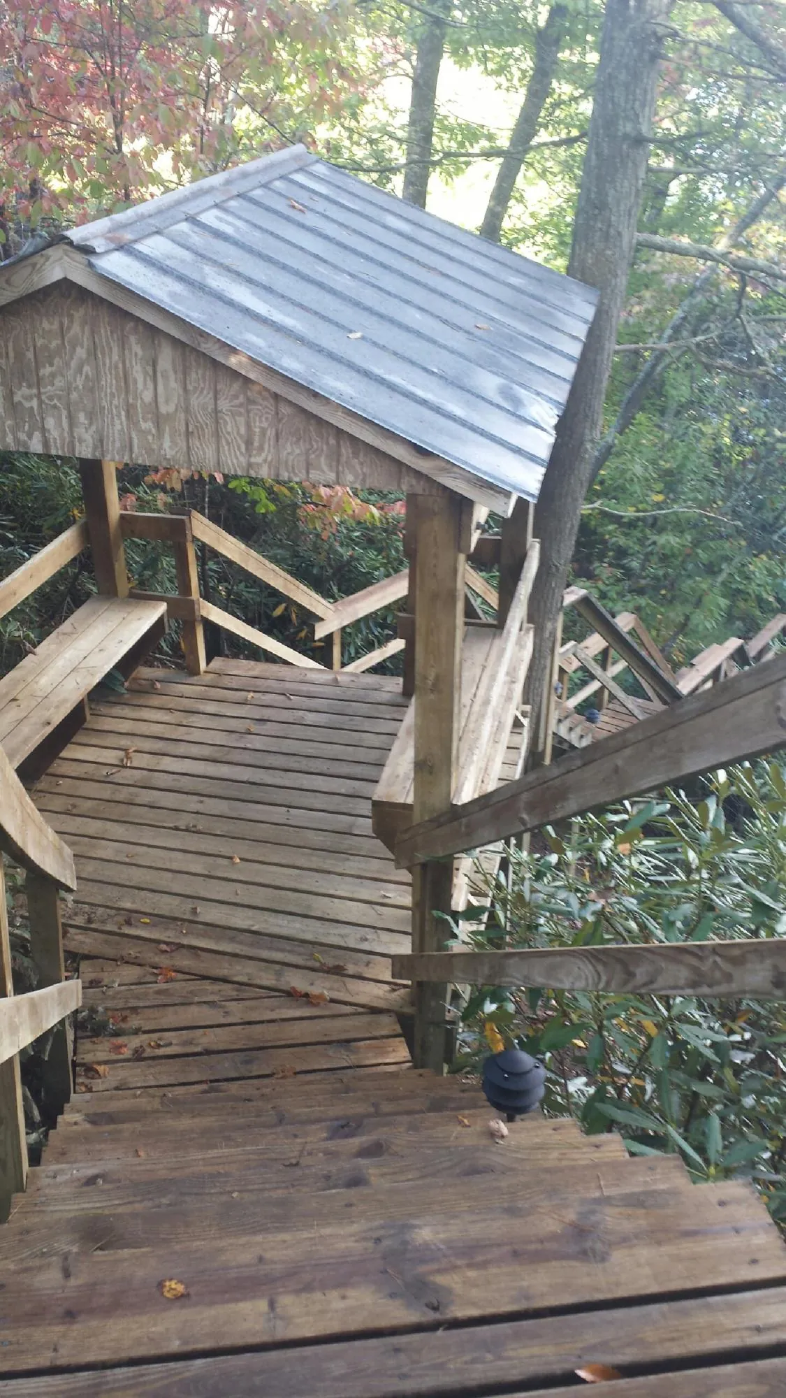Metal roofed shelter over wooden steps on a wooded walkway — Skylight Repair & Installation work by our crew in San Carlos